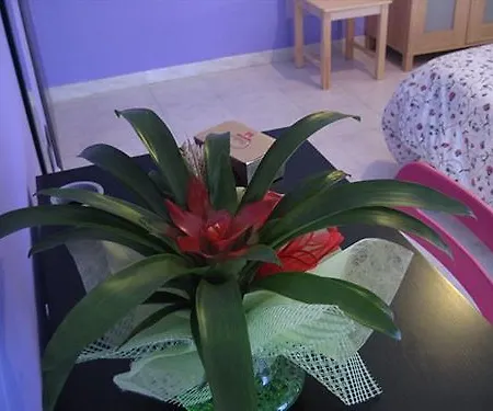 فندق مبيت وإفطار Piazza Vittorio